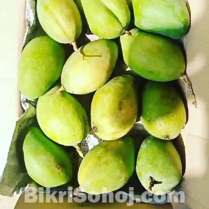 চাঁপাই নবাবগঞ্জের সুস্বাদু বারোমাসি আম